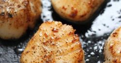 Fried Scallops from Atlantic Ocean